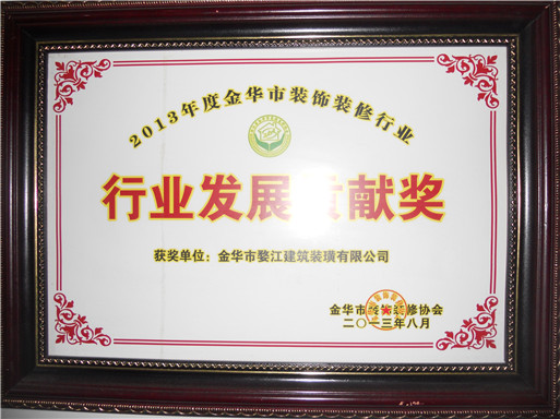 2013行业发展贡献奖