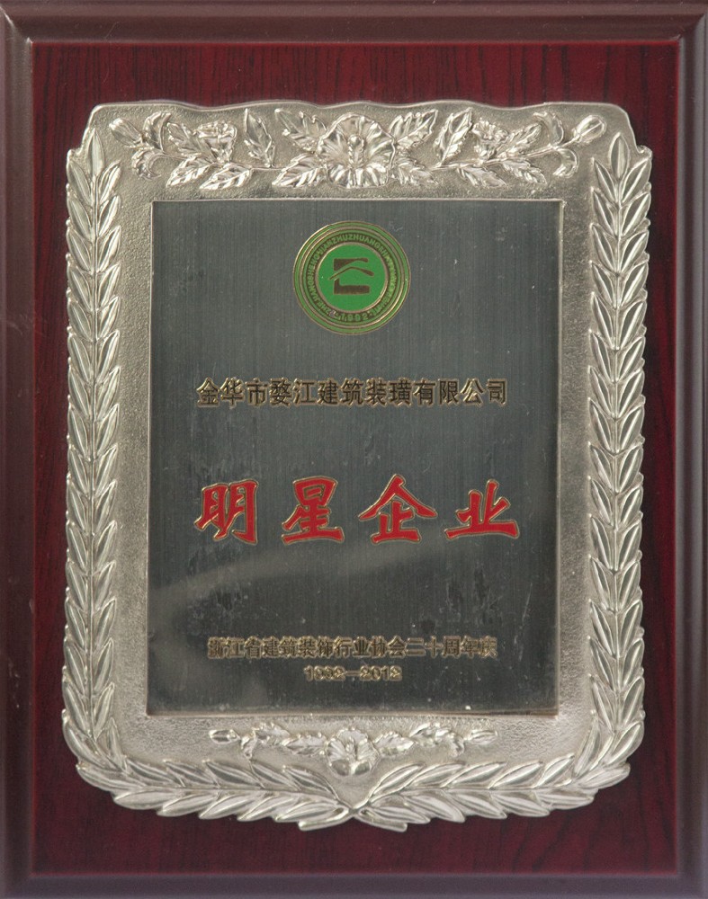 2012年明星企业